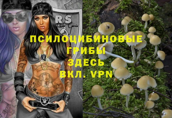 mdpv Арсеньев