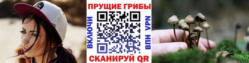Галлюциногенные грибы мицелий  Карачев 